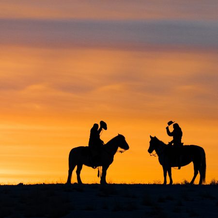 HORSE RIDING